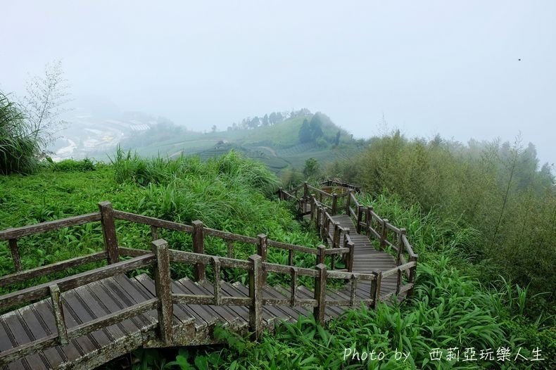 全台10大茶園景觀步道盤點