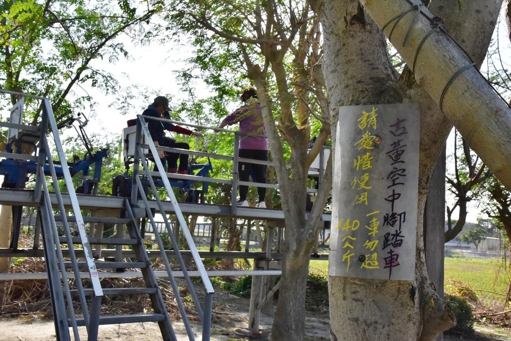 彰化埔鹽鄉｜姥姥不老茶文創園區