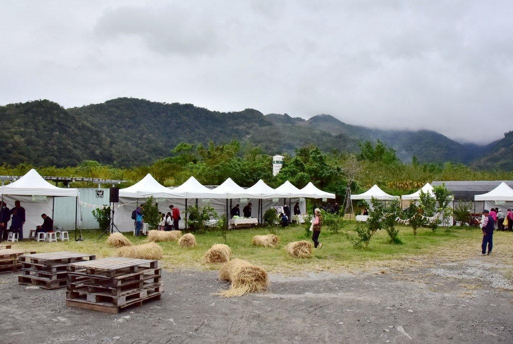 台東卑南鄉｜2024釋迦遊樂園 食農園遊會 食農闖關遊戲寓教