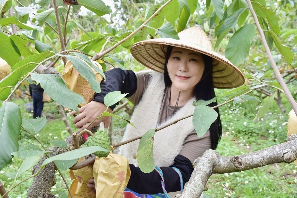 台東卑南鄉｜2024釋迦遊樂園 食農園遊會 食農闖關遊戲寓教