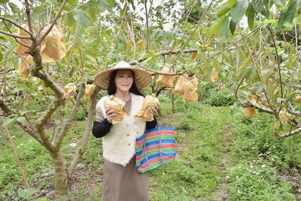 台東卑南鄉｜2024釋迦遊樂園 食農園遊會 食農闖關遊戲寓教