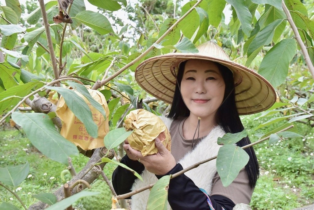 台東卑南鄉｜2024釋迦遊樂園 食農園遊會 食農闖關遊戲寓教