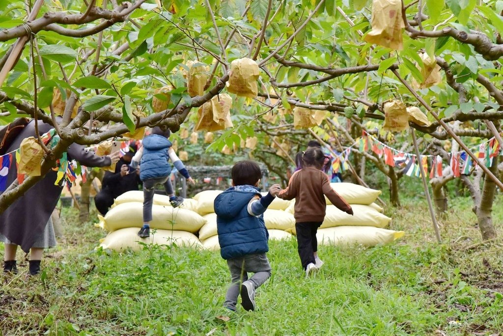 台東卑南鄉｜2024釋迦遊樂園 食農園遊會 食農闖關遊戲寓教