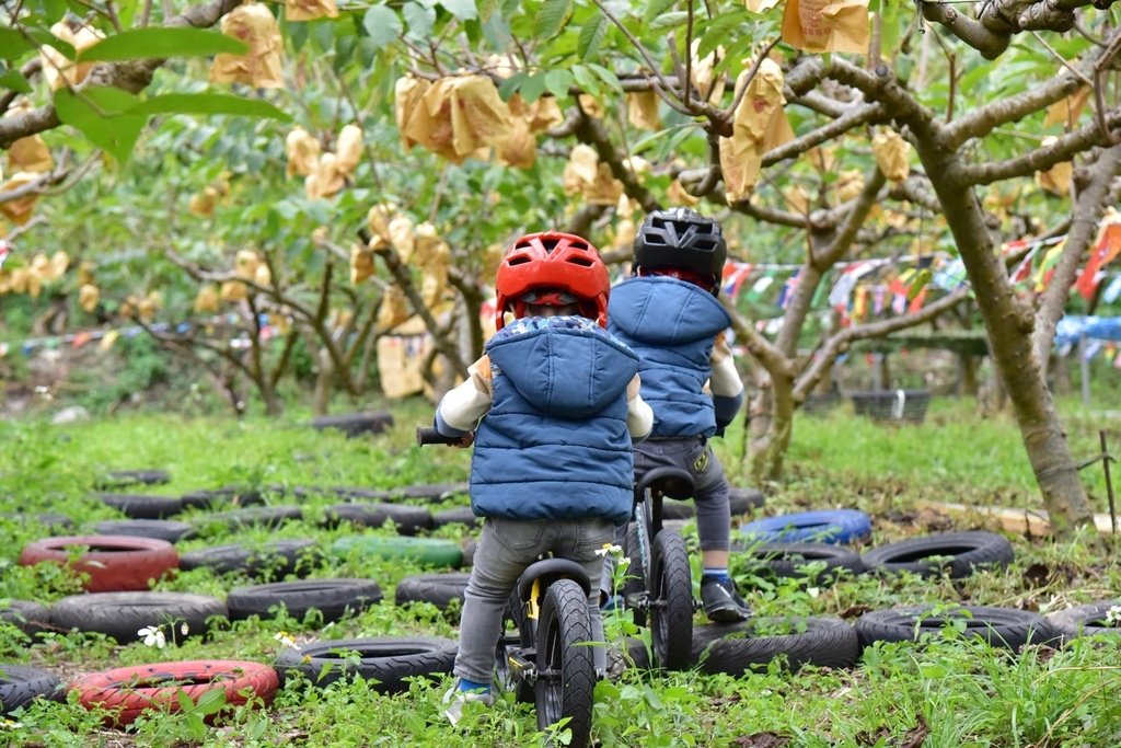 台東卑南鄉｜2024釋迦遊樂園 食農園遊會 食農闖關遊戲寓教