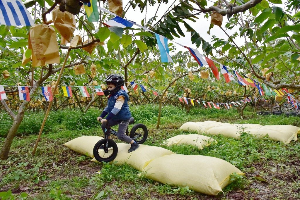 台東卑南鄉｜2024釋迦遊樂園 食農園遊會 食農闖關遊戲寓教