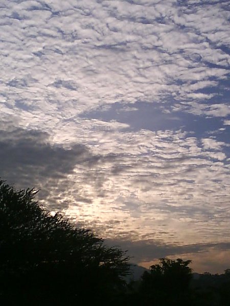 DSC00069.JPG