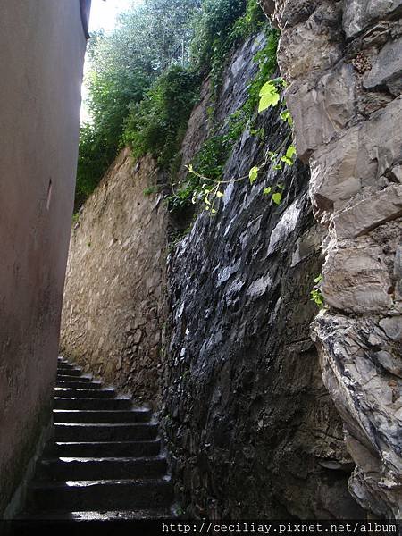 P6130040.JPG