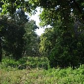 P3070047