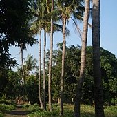P3070046