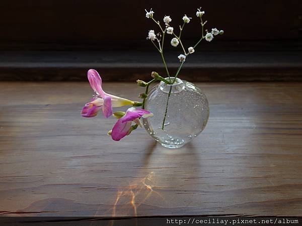 DSC01080