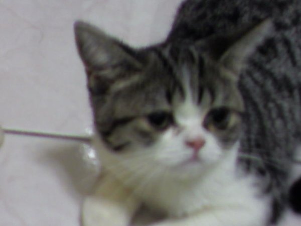 SP_A0016.jpg