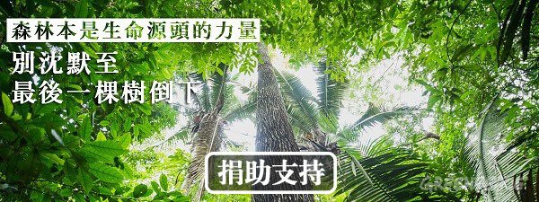 1c30d773-forest-banner.jpg