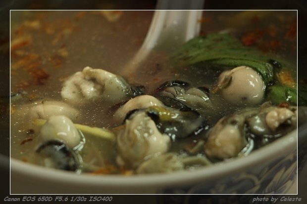 oysters14