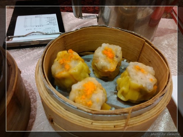 dimsum11