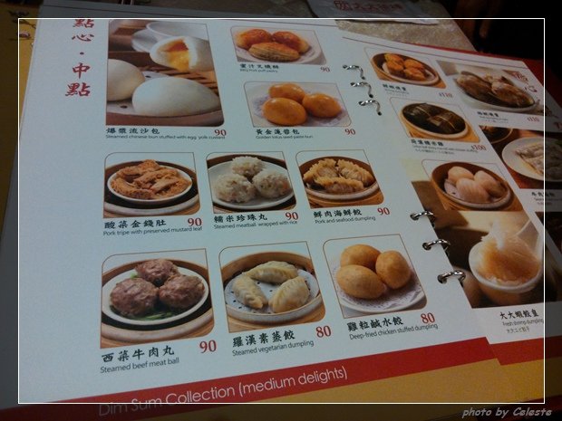 dimsum02