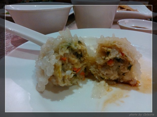 dimsum12