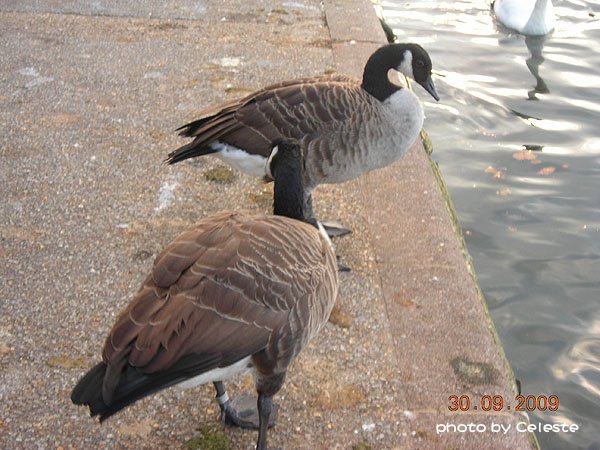 07.jpg