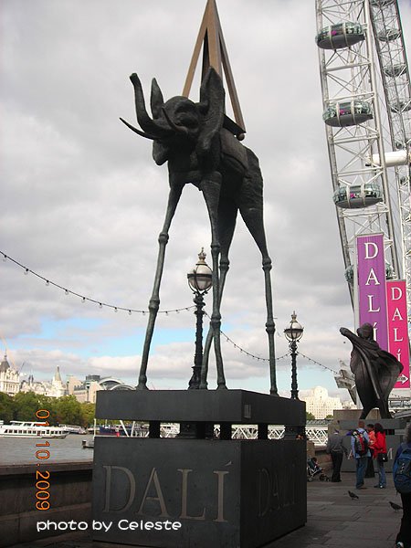 09.jpg