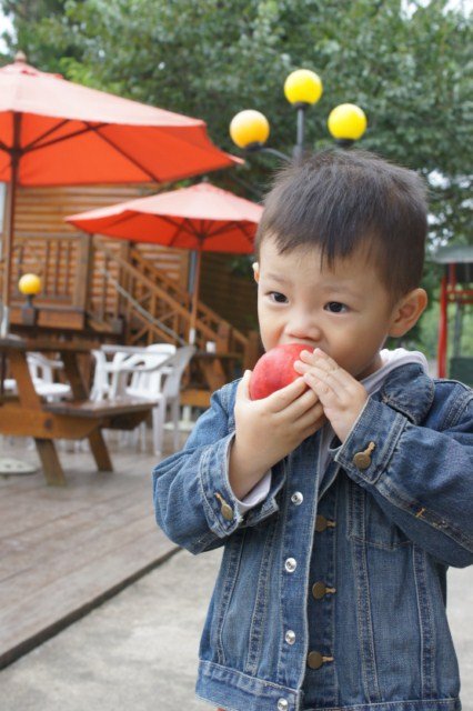 DSC06940 [640x480]