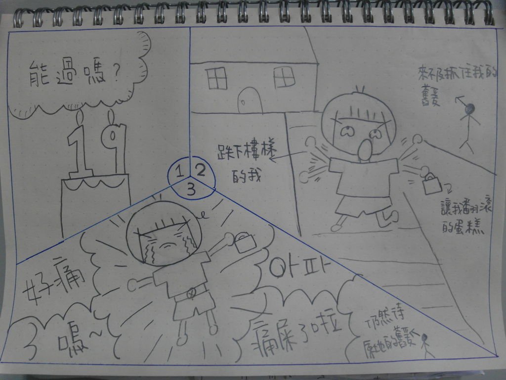 SAM_2447