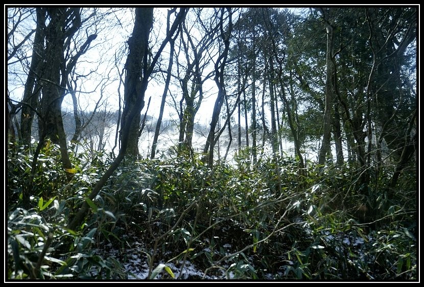 _DSC0675
