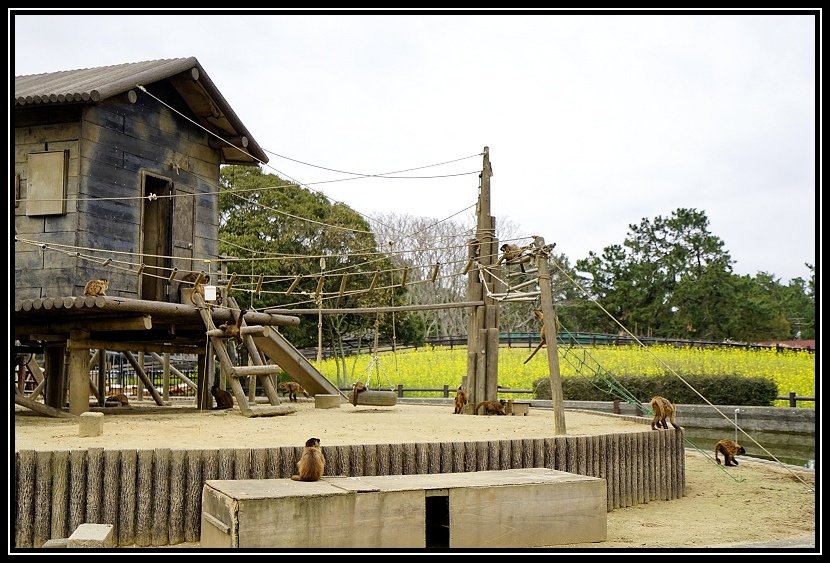 [2020日本_D8] 福岡。海之中道海濱公園