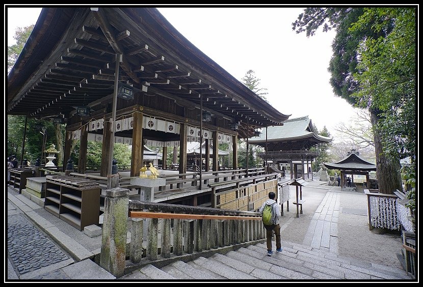 [2023琵琶湖賞櫻_D1-2] 近江八幡。八幡堀水道。八幡