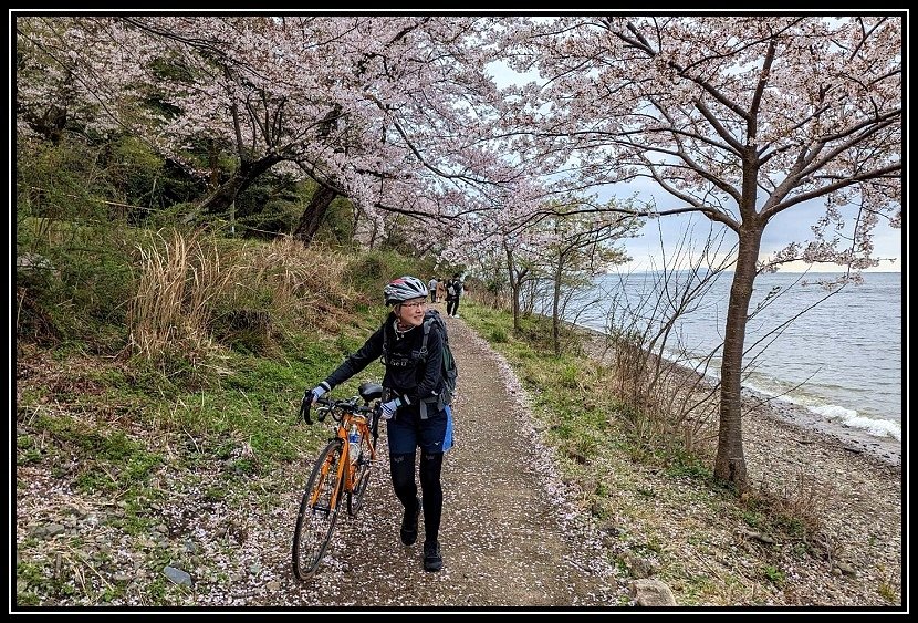 [2023琵琶湖賞櫻_D2] 單車環湖第一天。長濱城。海津大