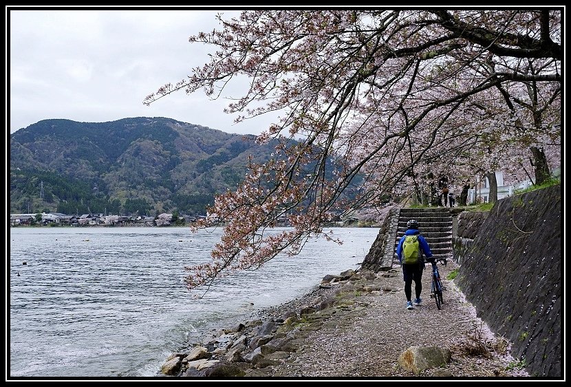 [2023琵琶湖賞櫻_D2] 單車環湖第一天。長濱城。海津大