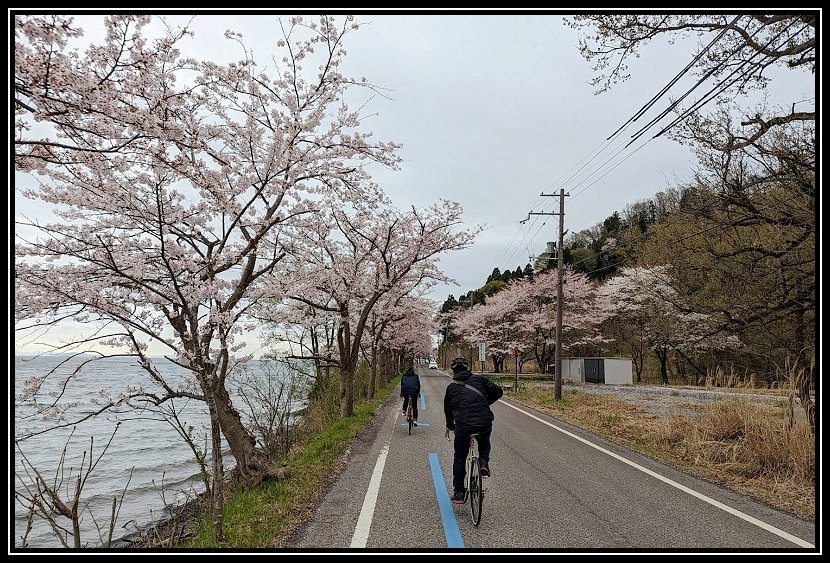 [2023琵琶湖賞櫻_D2] 單車環湖第一天。長濱城。海津大