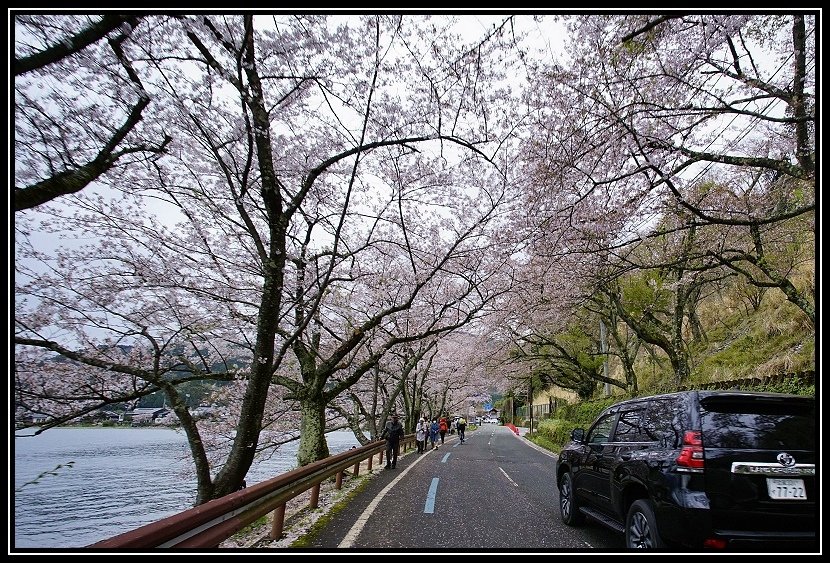 [2023琵琶湖賞櫻_D2] 單車環湖第一天。長濱城。海津大