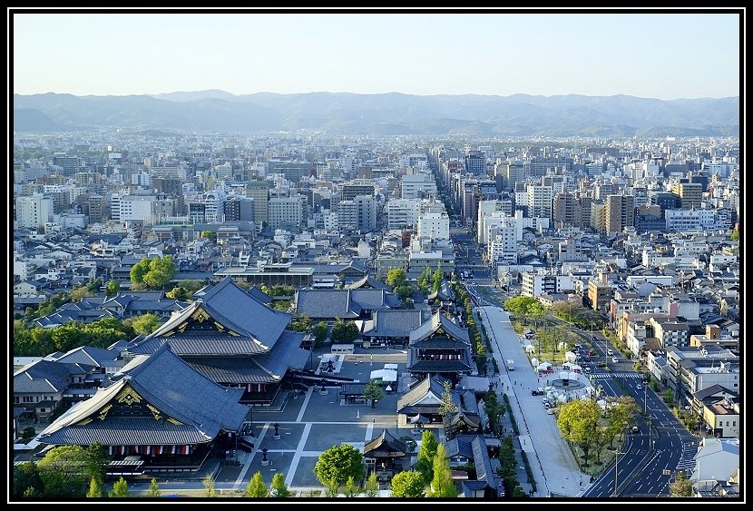[2023琵琶湖賞櫻_D5-2] 彥根。哲學之道。平安神宮。