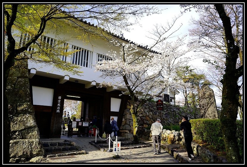 [2024環琵琶湖_D5] 名古屋。犬山城