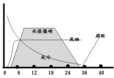 關係圖表