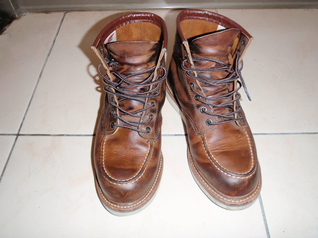 6mo3_1907.JPG - blog