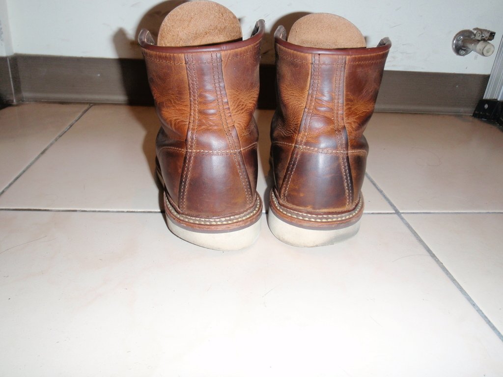 6moh_1907.JPG - blog