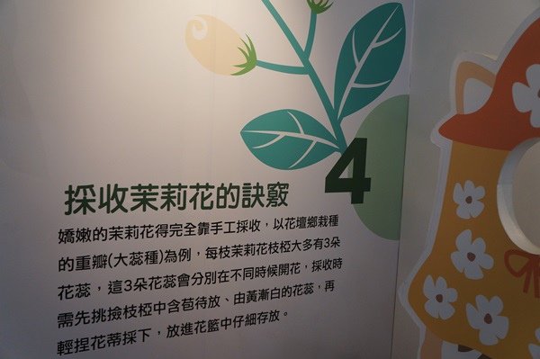 DSC08236.JPG