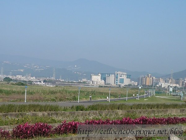 社子島騎單車