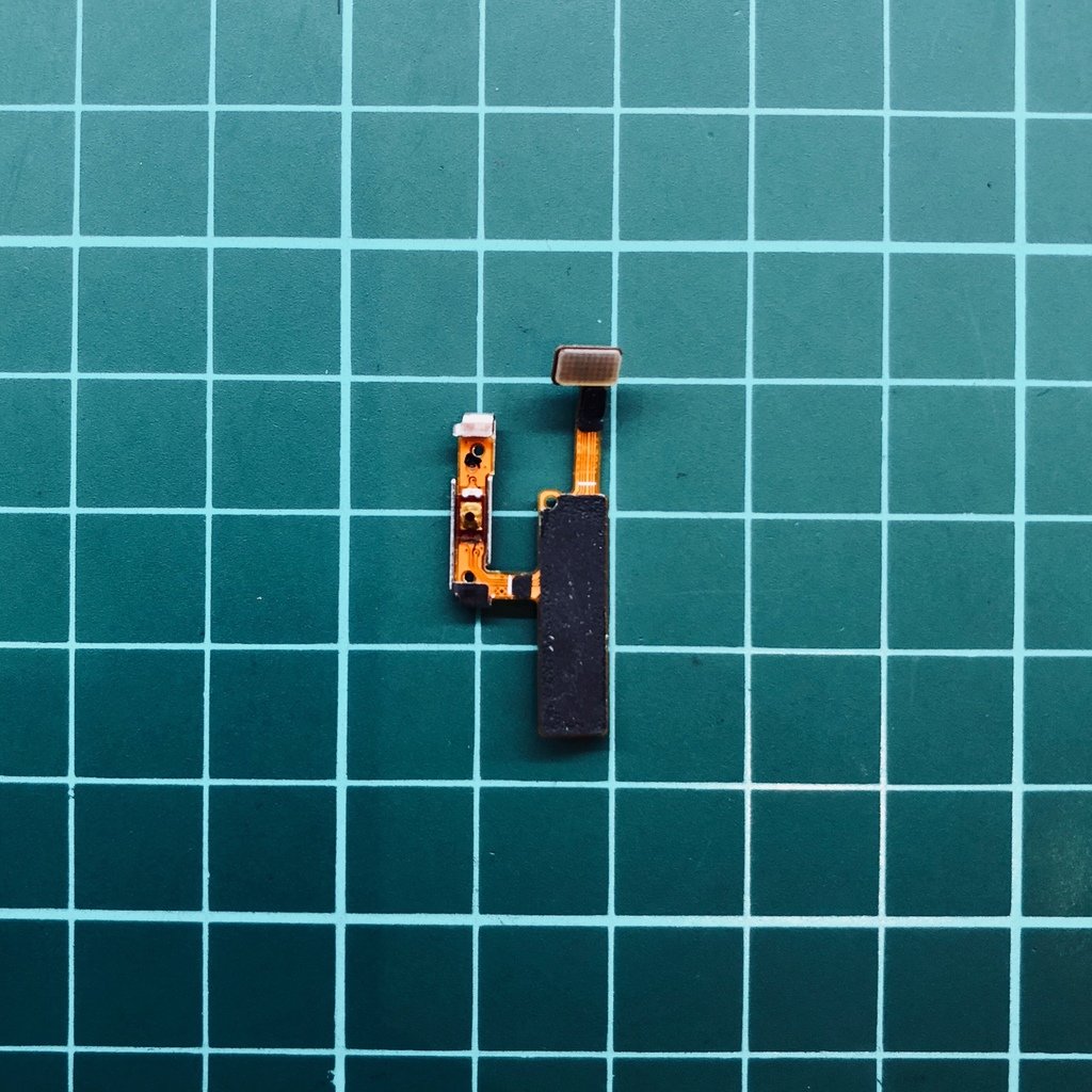 l4.jpg