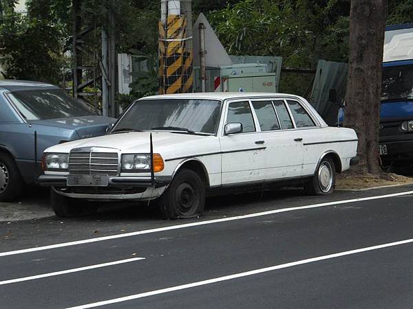 Mercedes-Benz W123L (5)