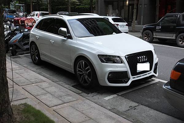 AUDI SQ5 (1)