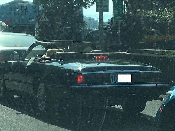 JAGUAR XJS Convertible by Dylan (1).jpg