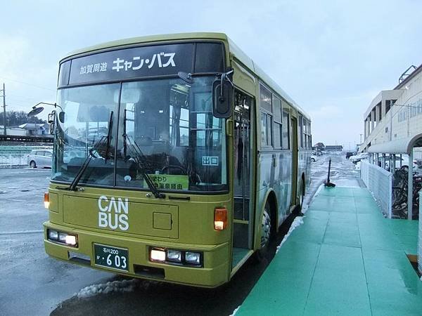 HINO RIBBON 觀光巴士.JPG