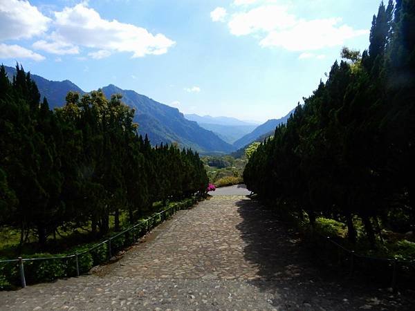 DSCN   7457.JPG