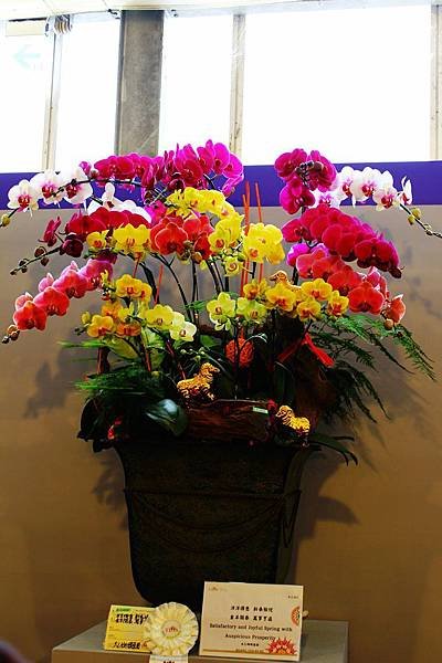 IMG_7430.jpg