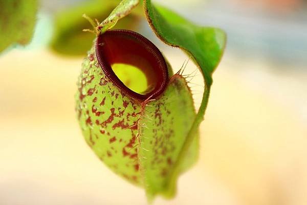 nEO_IMG_IMG_5712.jpg