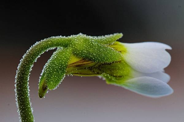 nEO_IMG_IMG_5161.jpg