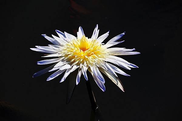 nEO_IMG_IMG_4400.jpg