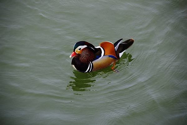 IMG_677526.jpg