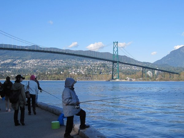 Stanyle Park-Lion Gate Bridge fishing.jpg